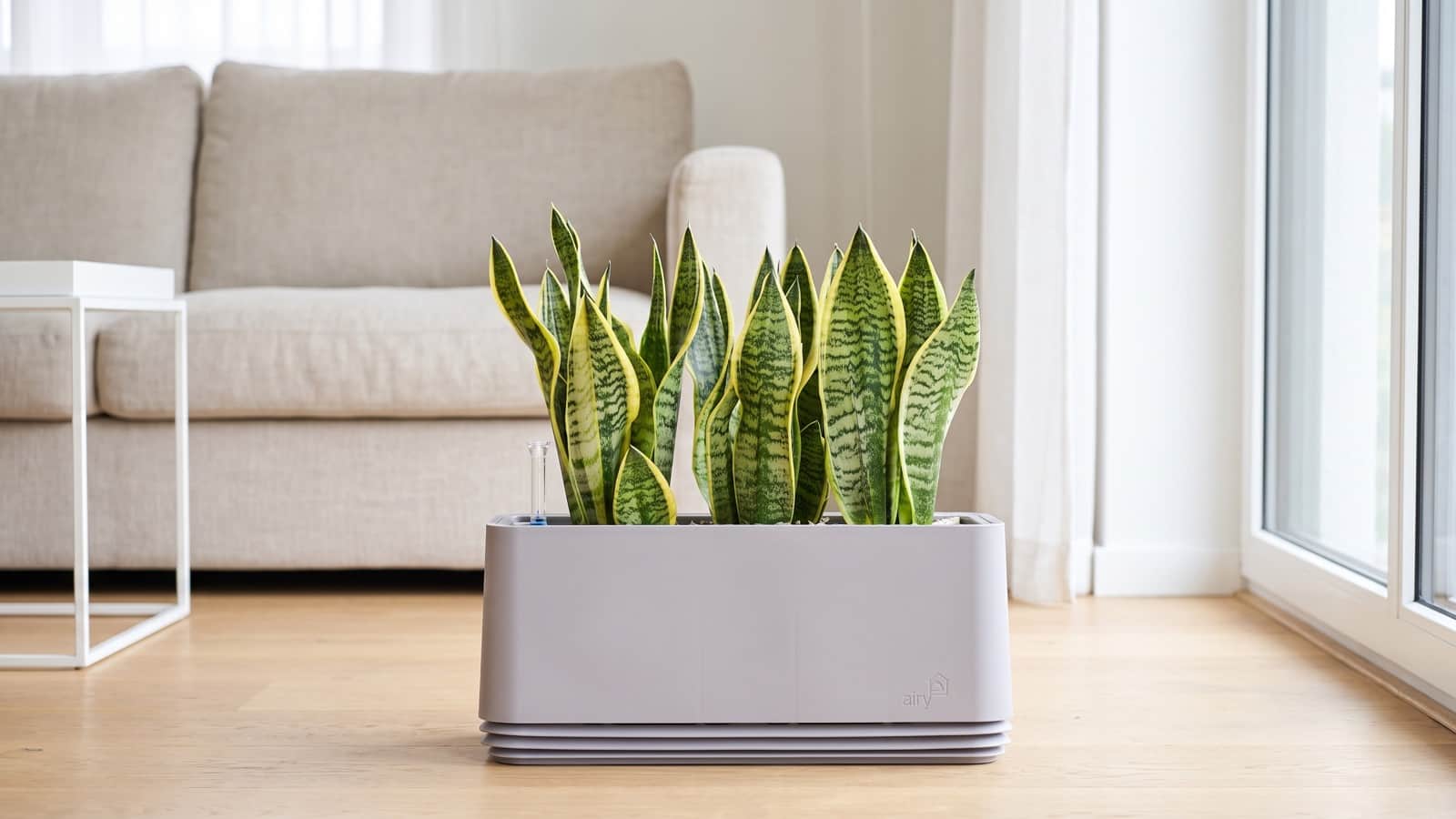 Le pot dépolluant Airy avec une sansevière dans un salon lumineux et minimaliste